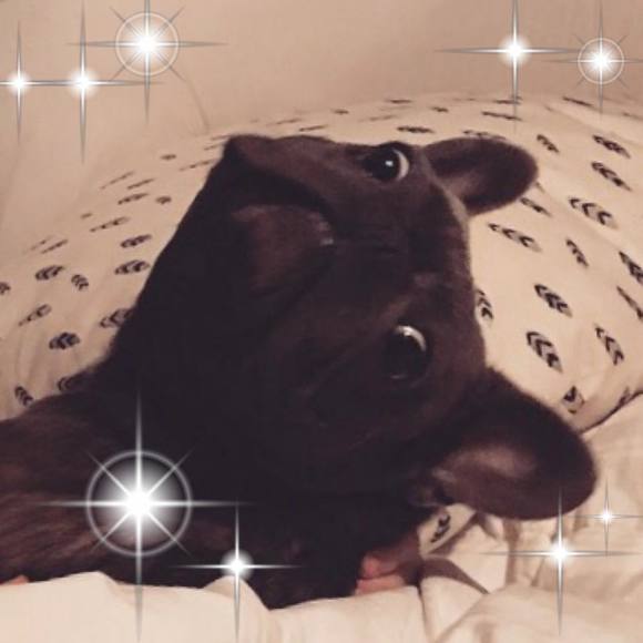 Meet your Posher, Kim - Picture 1 of 1